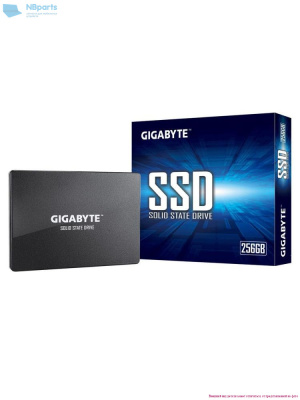 GP-GSTFS31256GTND